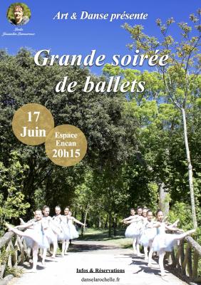 Affiche gala 2017 image