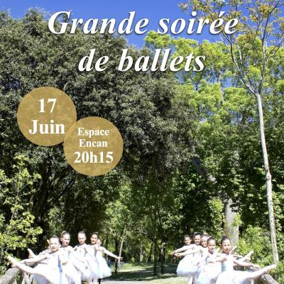 Affiche gala 2017 image